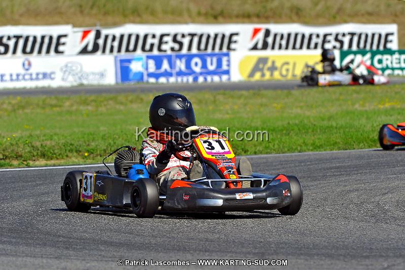 DSC_ (1182).jpg